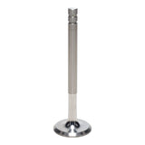 Exhaust Valve