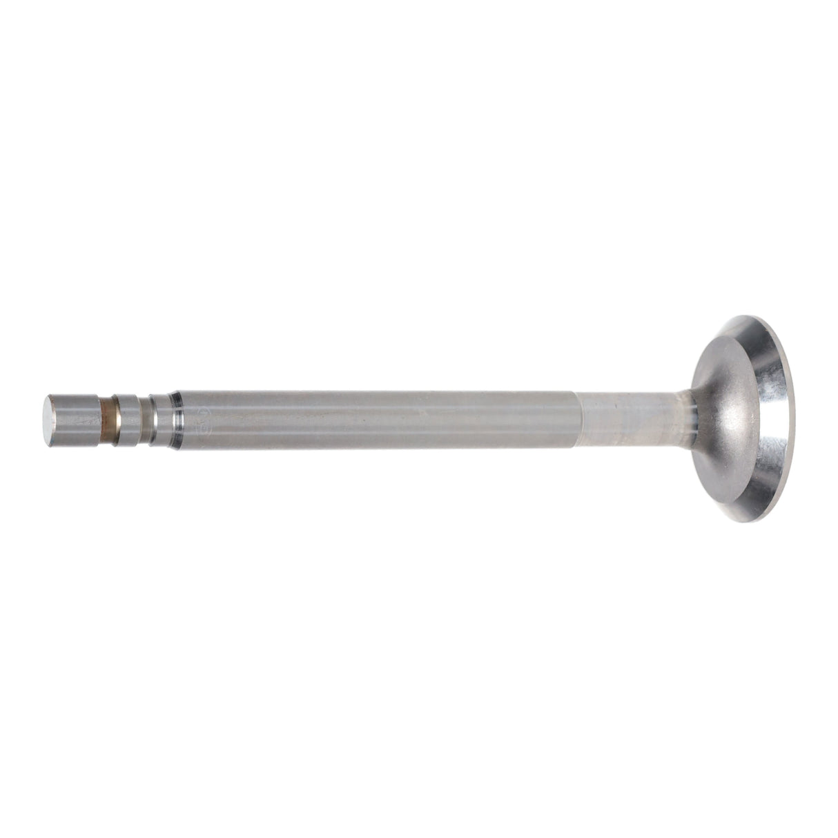 Exhaust Valve