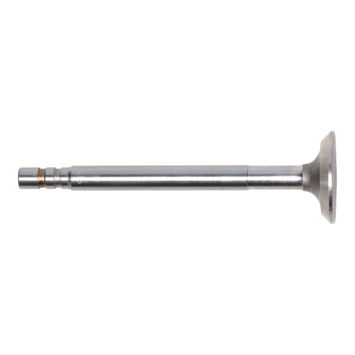 Exhaust Valve