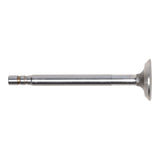 Exhaust Valve