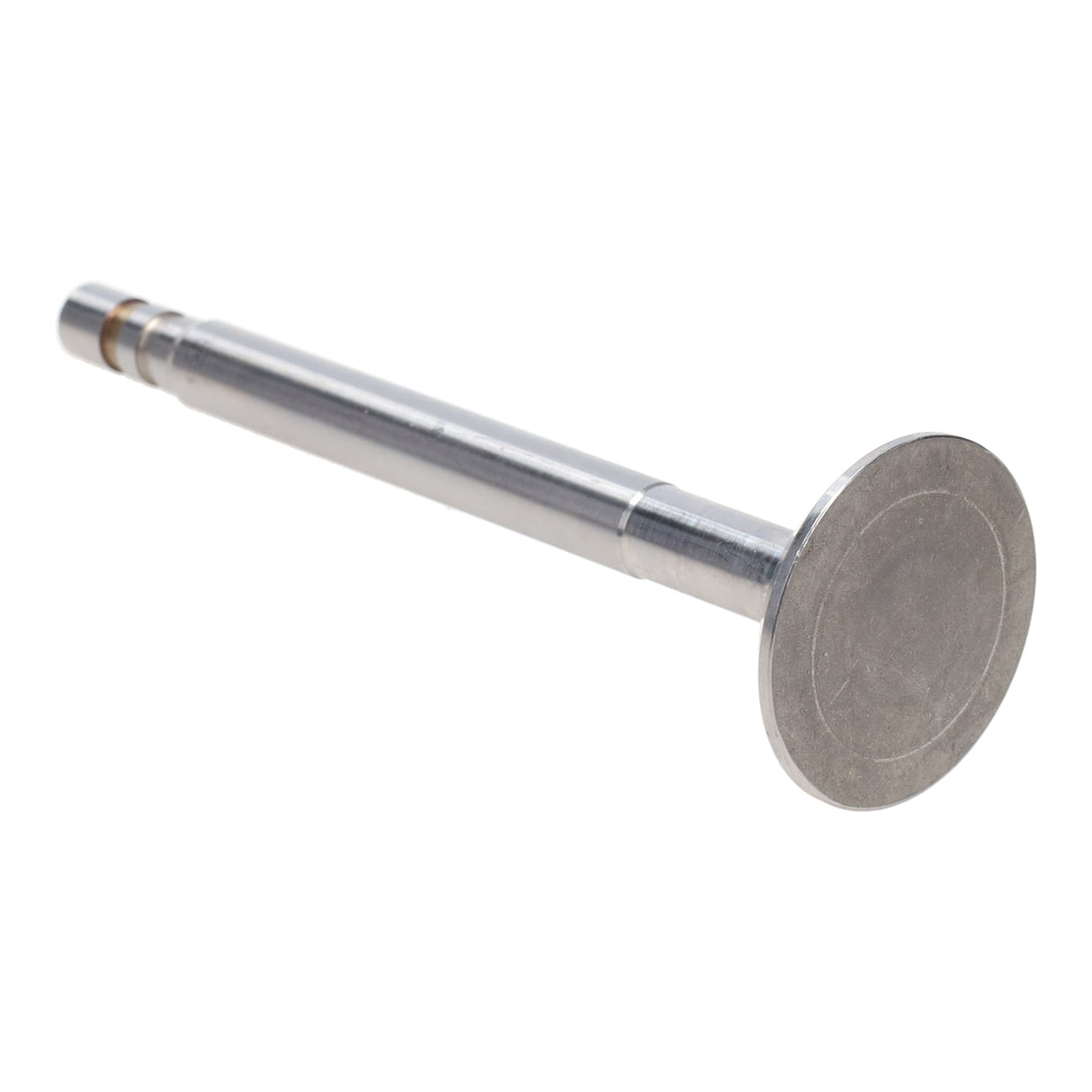 Exhaust Valve