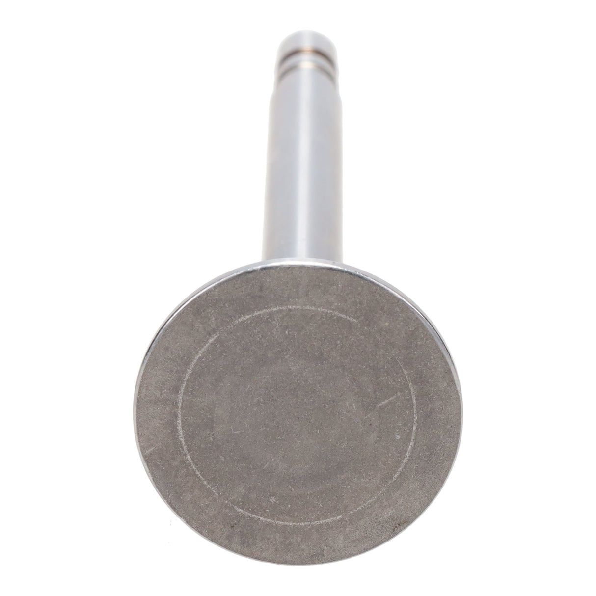 Exhaust Valve
