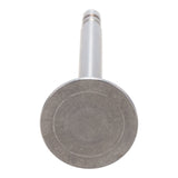 Exhaust Valve