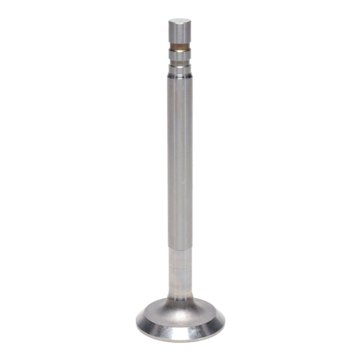 Exhaust Valve