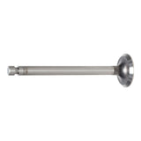 Exhaust Valve