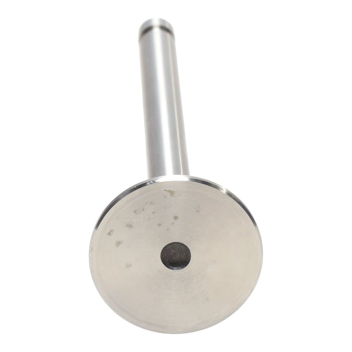 Exhaust Valve