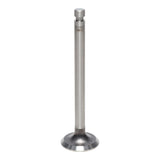 Exhaust Valve