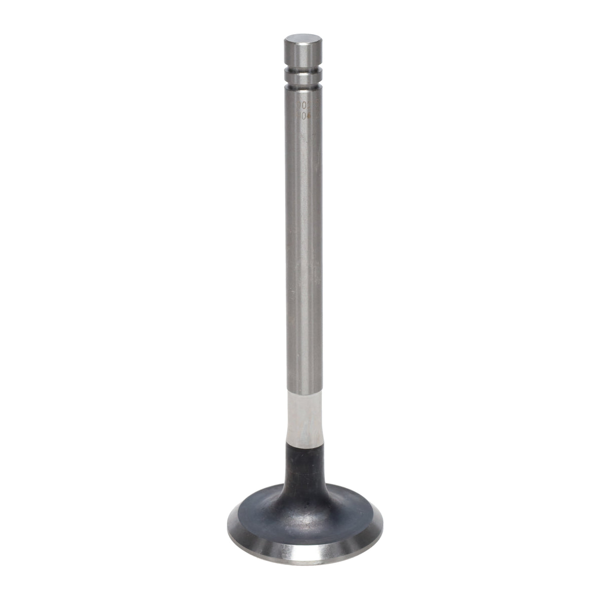 Exhaust Valve