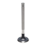 Exhaust Valve