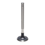 Exhaust Valve
