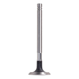 Exhaust Valve