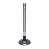 Exhaust Valve