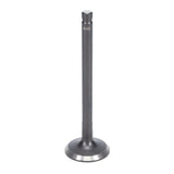 Intake & Exhaust Valve