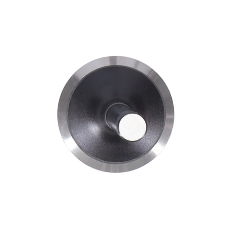 Intake & Exhaust Valve