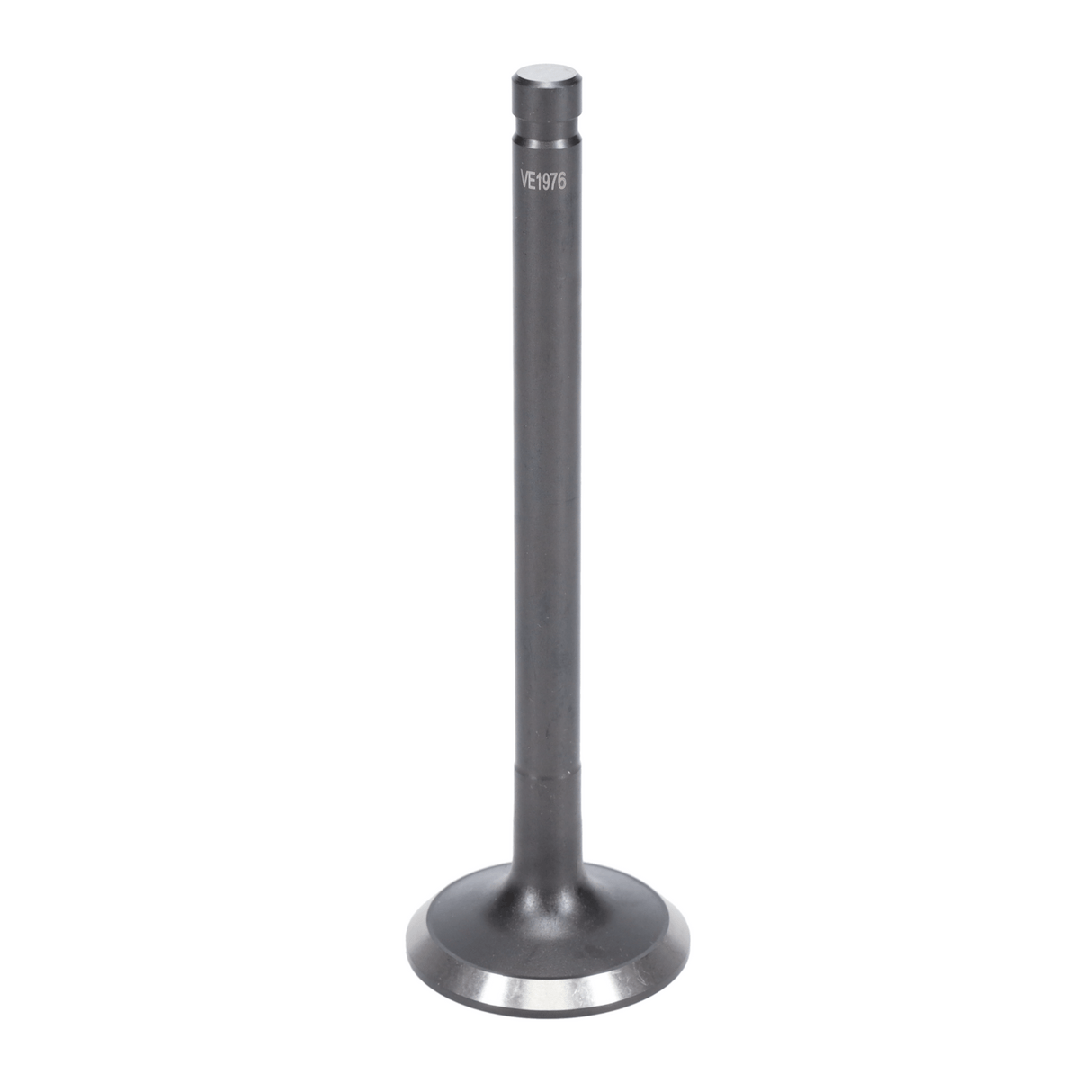 Intake & Exhaust Valve