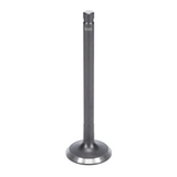 Intake & Exhaust Valve