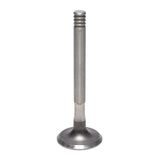 Exhaust Valve