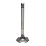 Exhaust Valve