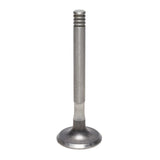 Exhaust Valve
