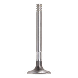 Exhaust Valve