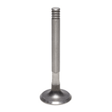 Exhaust Valve