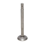 Exhaust Valve