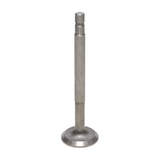 Exhaust Valve