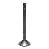 Exhaust Valve