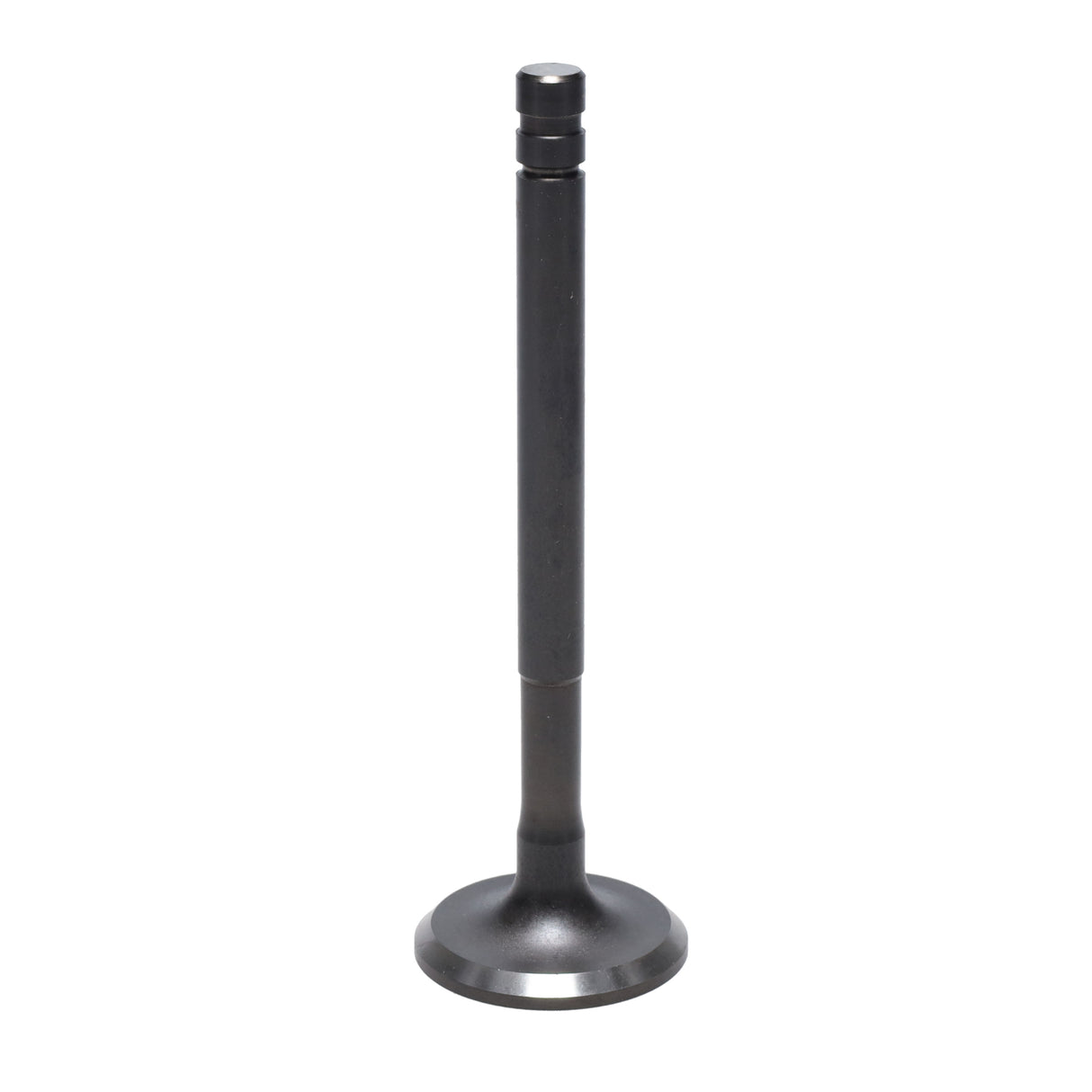 Exhaust Valve