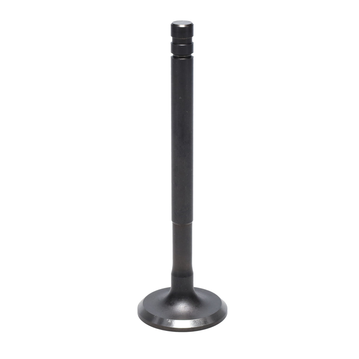 Exhaust Valve