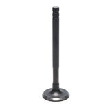 Exhaust Valve