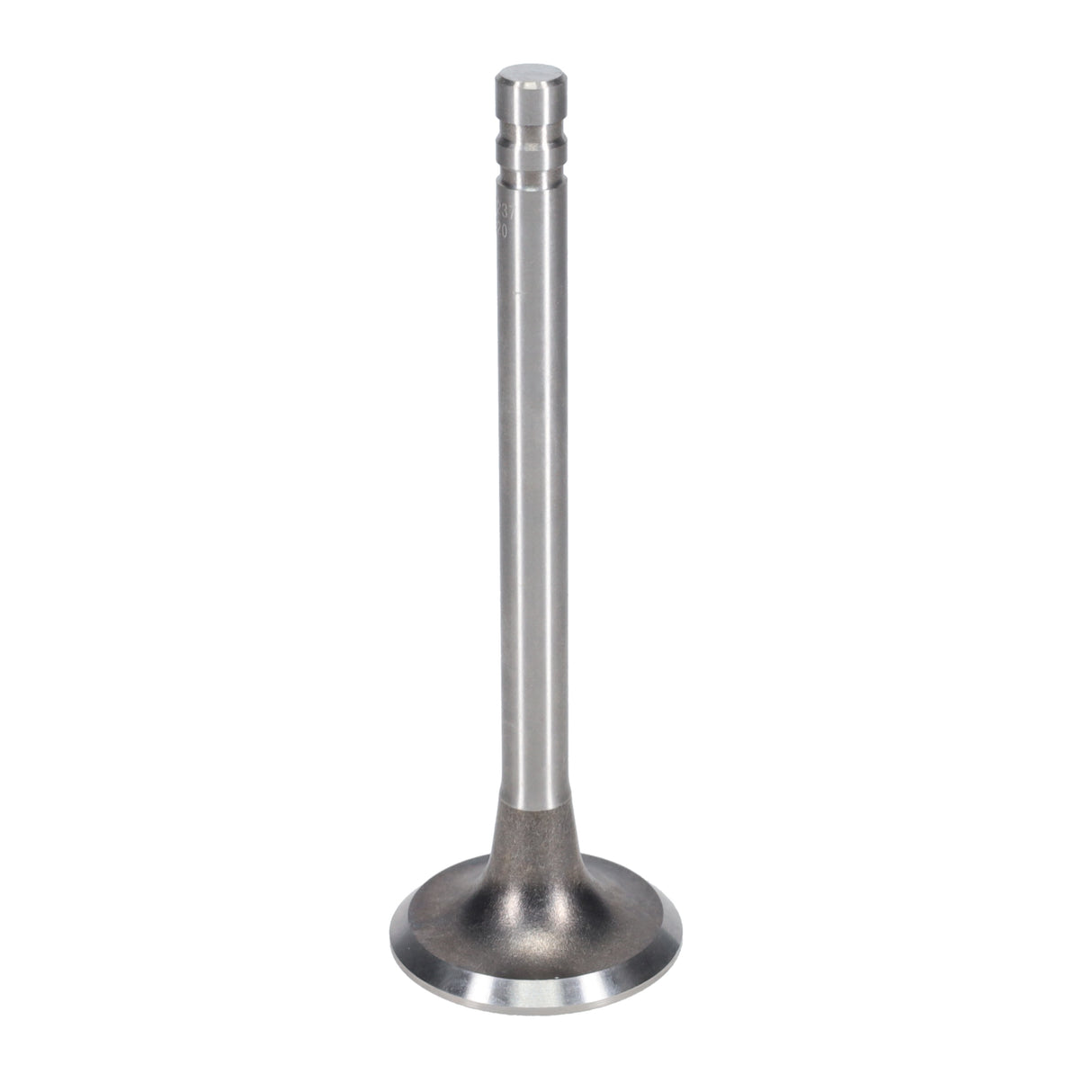 Exhaust Valve