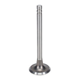Exhaust Valve