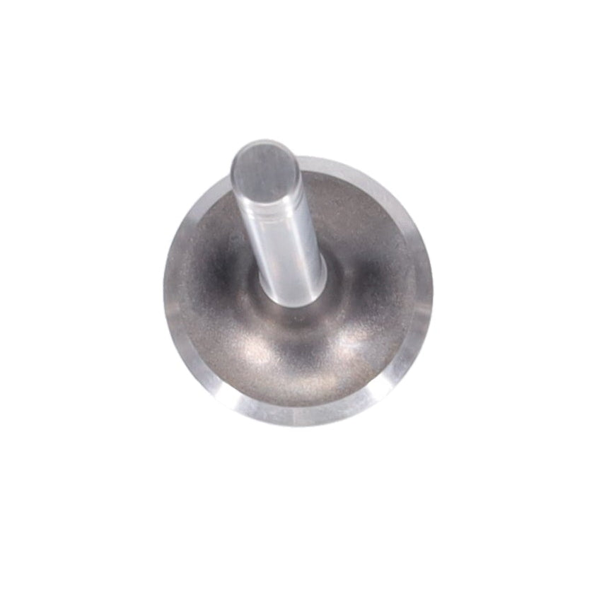 Exhaust Valve