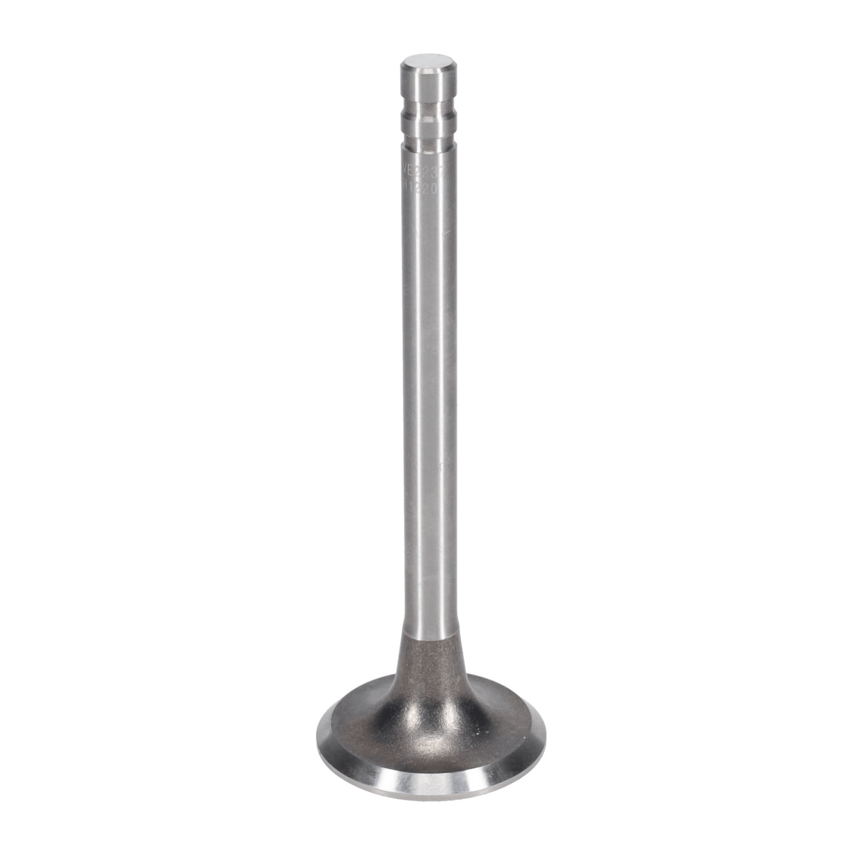 Exhaust Valve