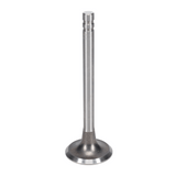 Exhaust Valve