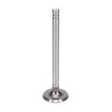 Exhaust Valve