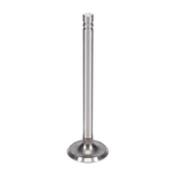 Exhaust Valve