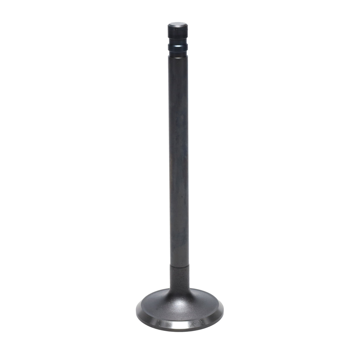 Exhaust Valve
