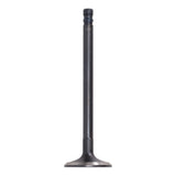 Exhaust Valve