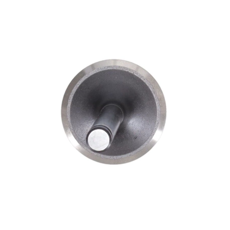Exhaust Valve