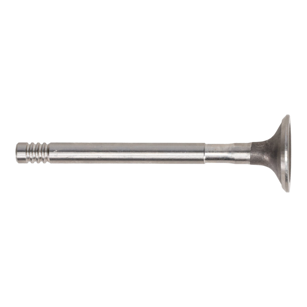 Exhaust Valve