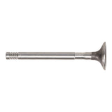 Exhaust Valve