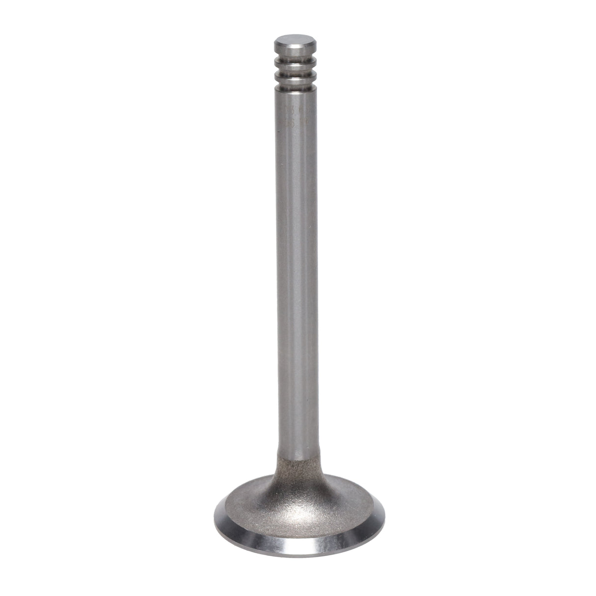 Exhaust Valve