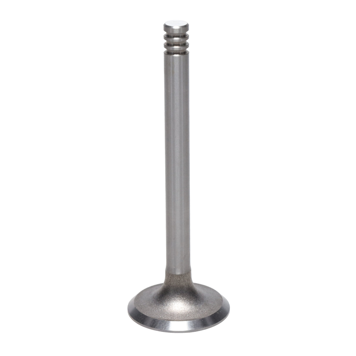 Exhaust Valve