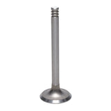 Exhaust Valve