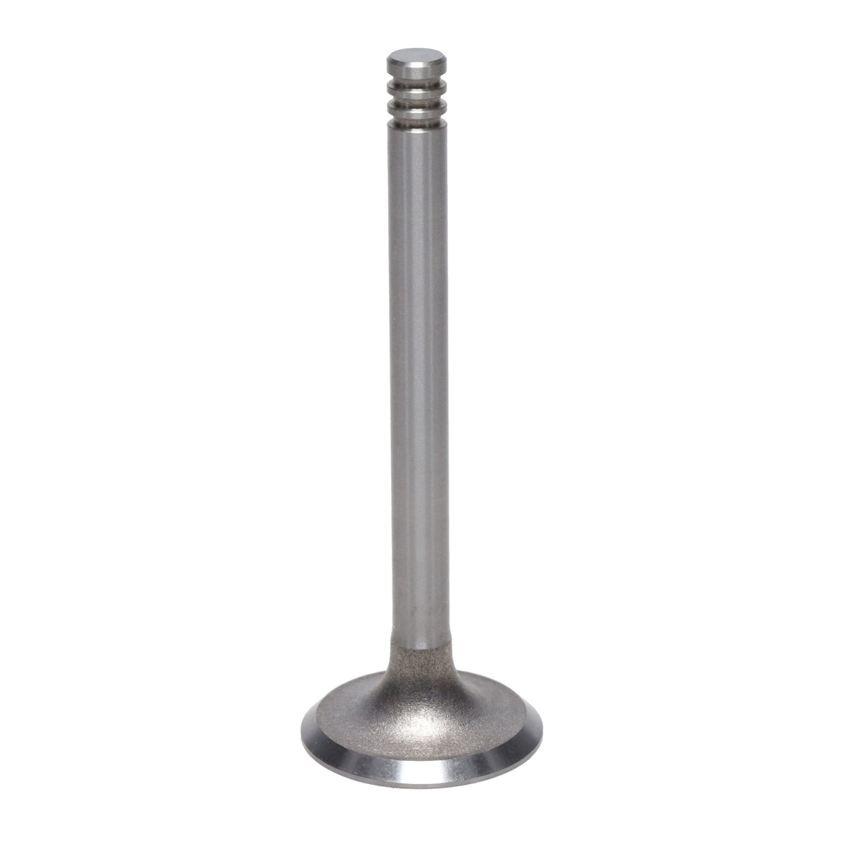 Exhaust Valve
