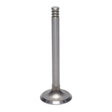 Exhaust Valve
