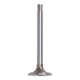 Exhaust Valve