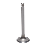 Exhaust Valve
